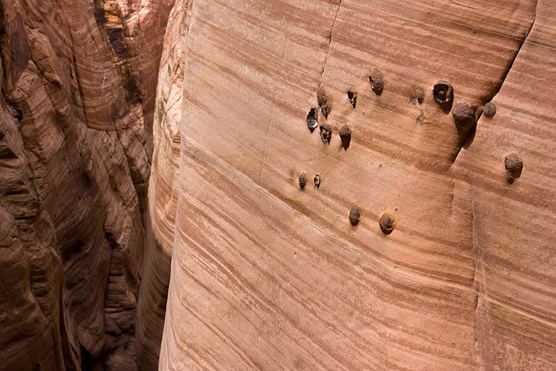 Zebra Slot Canyon