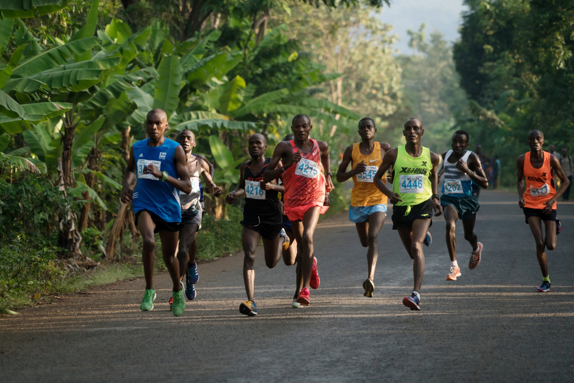 Der Kilimanjaro-Marathon