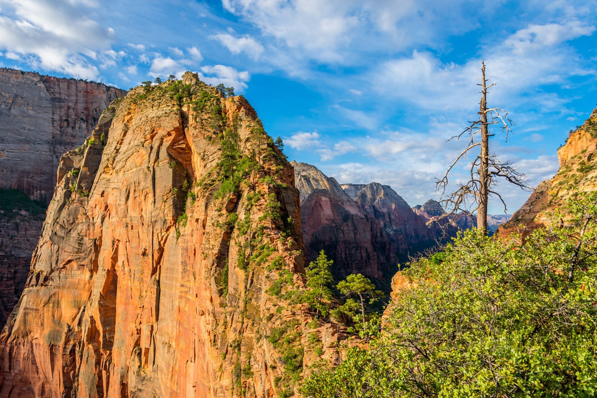 Angels Landing