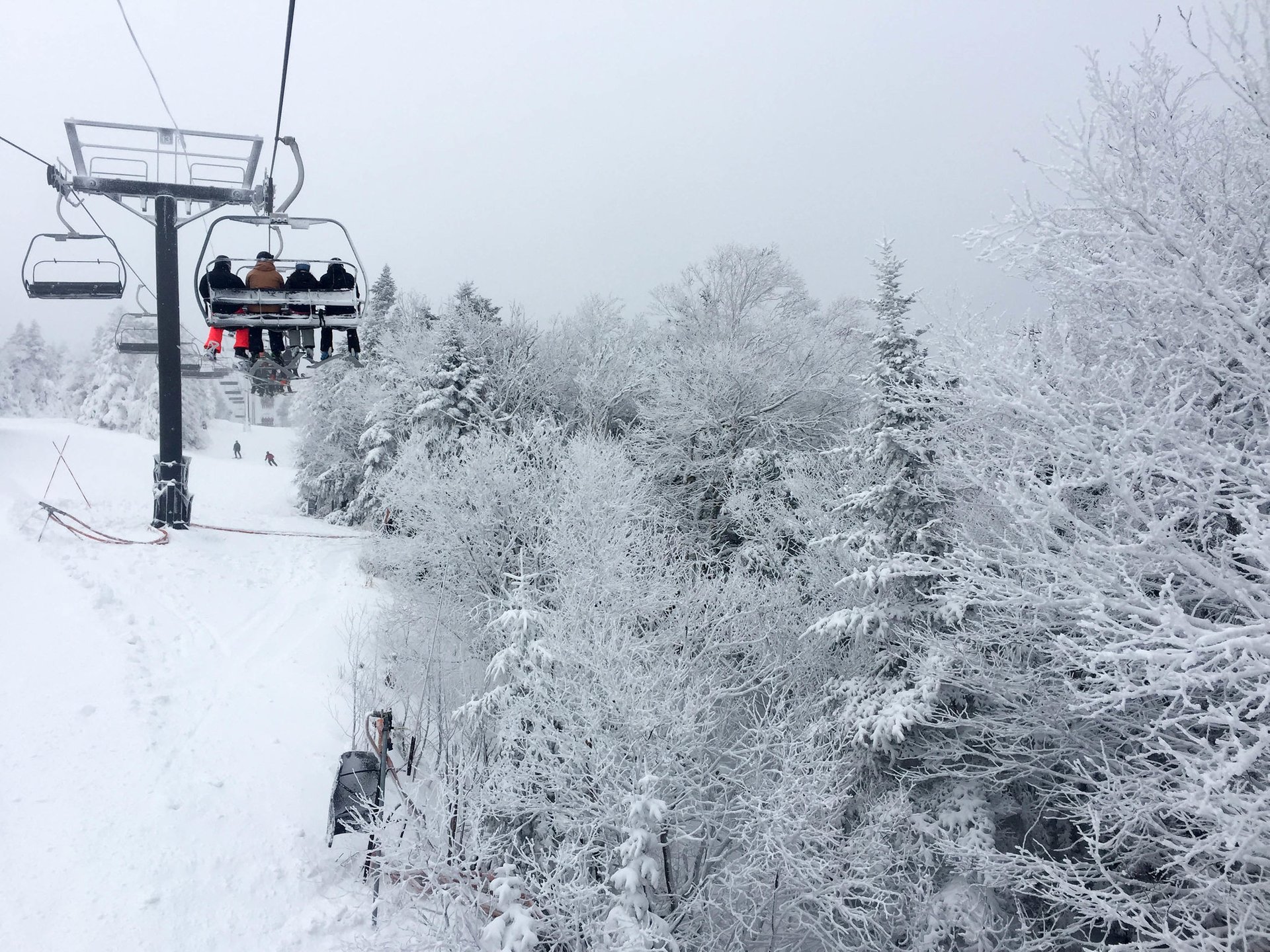 Skifahren und Snowboarding