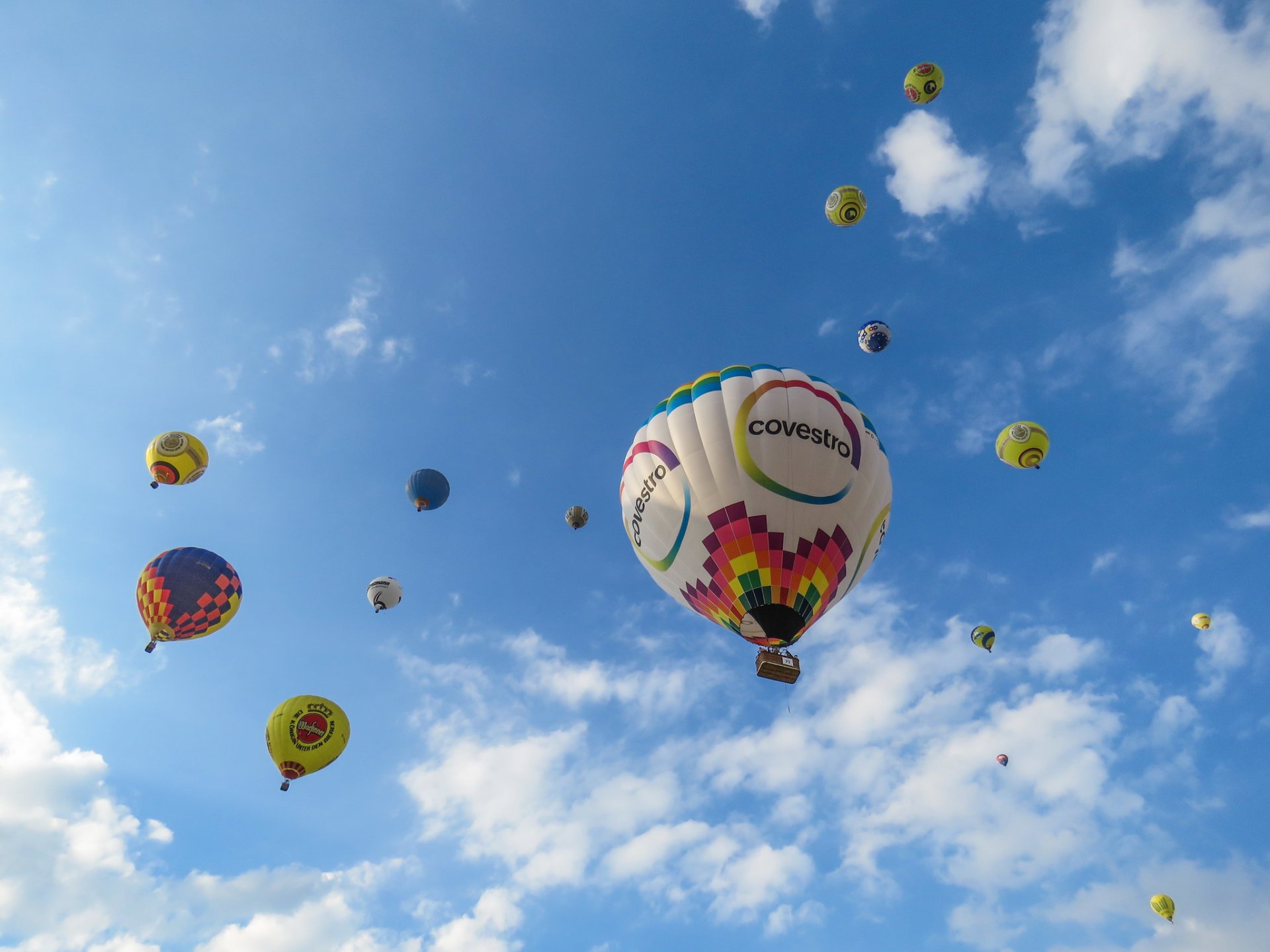 Colorful hot air balloons at the 2025 Albuquerque Balloon Festival