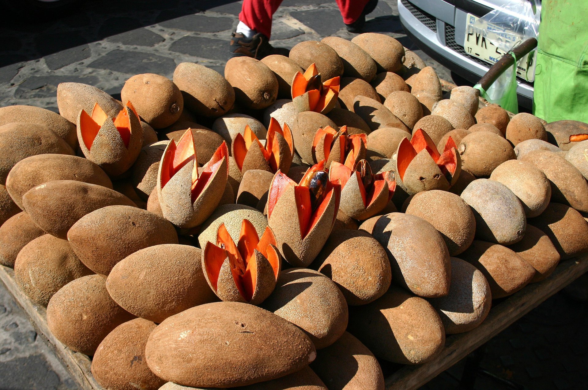 Mamey Sapote y Tejate