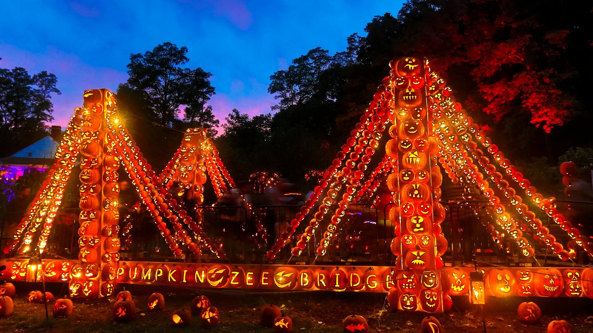 blaze pumpkin festival