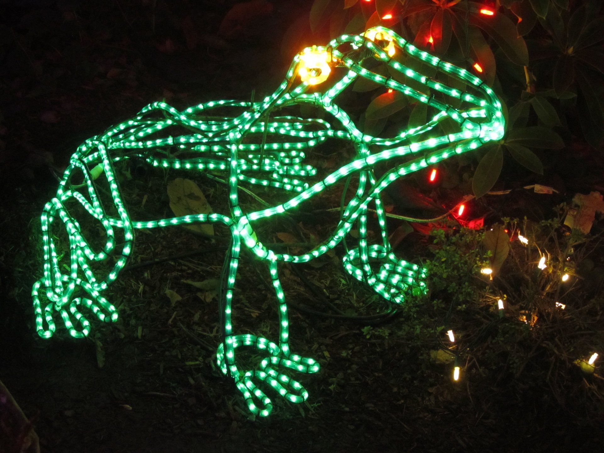 Oregon's Christmas Light Displays