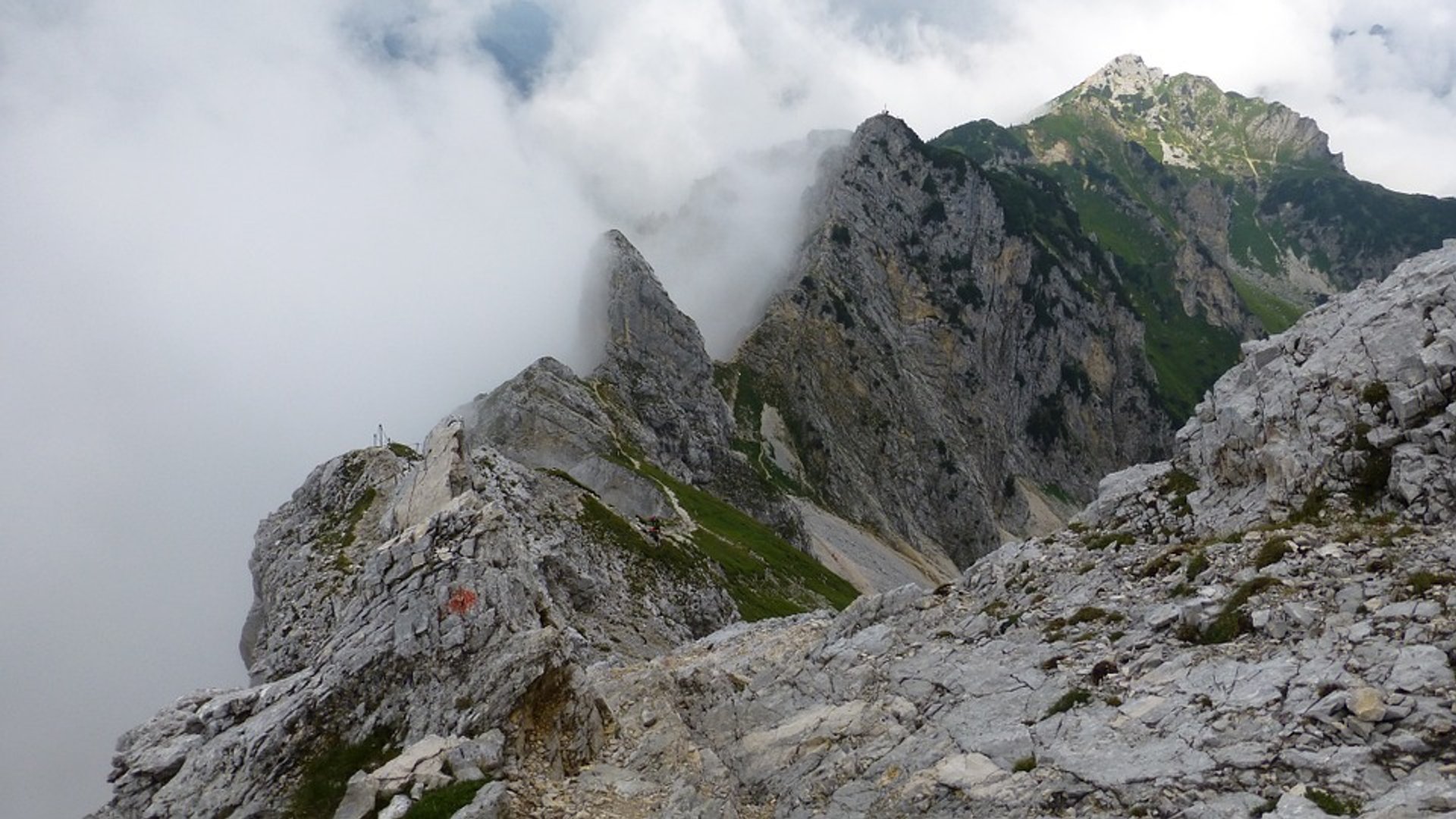 Tyrolean Climbing Gardens