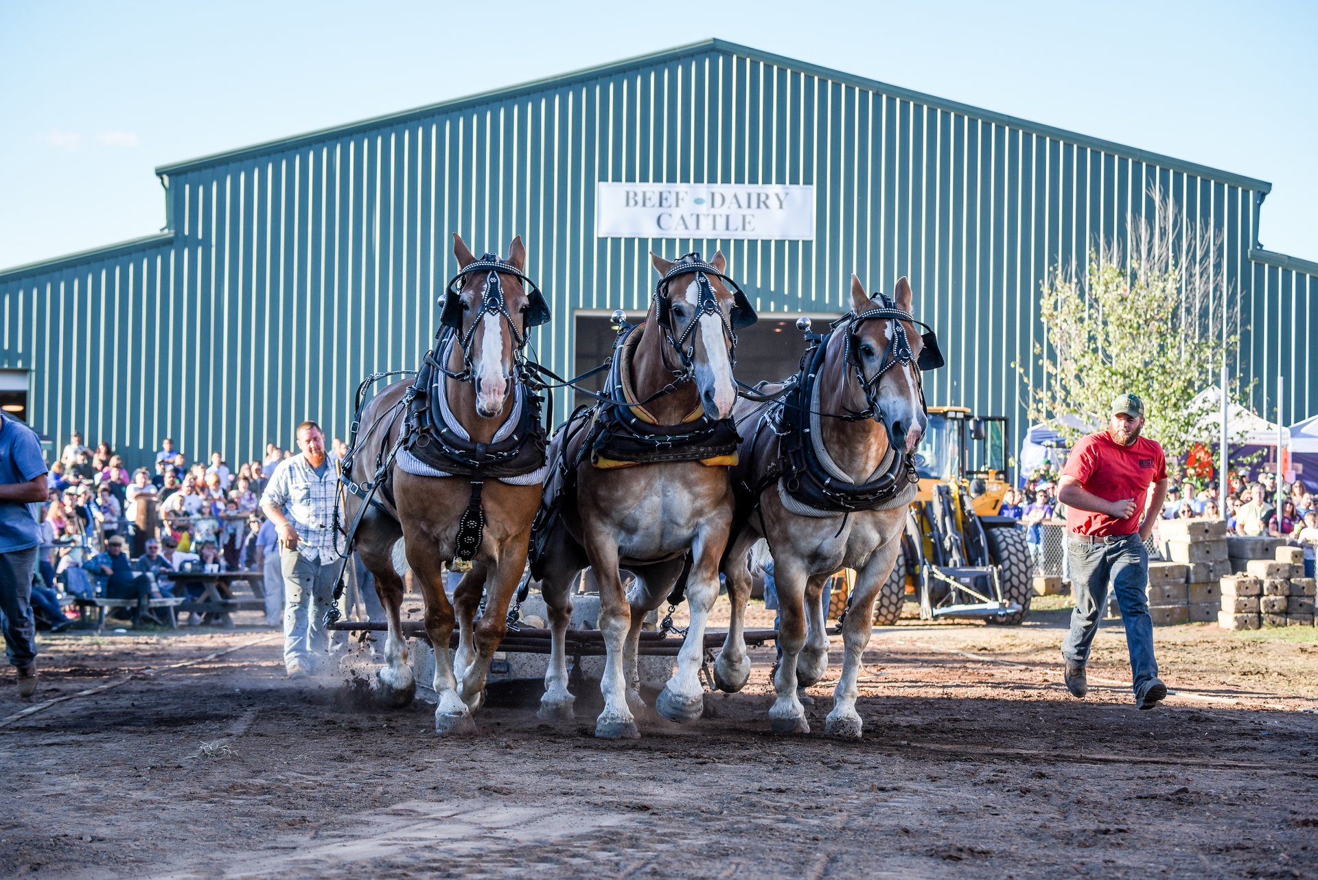 Durham Fair 2023 In Connecticut Dates Durham Fair 2023 In Connecticut Dates