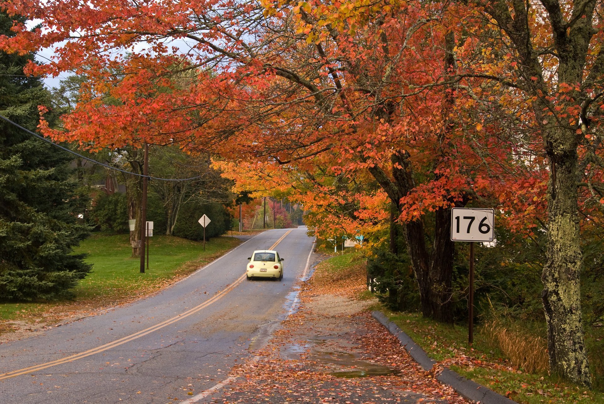 Maine Fall Foliage