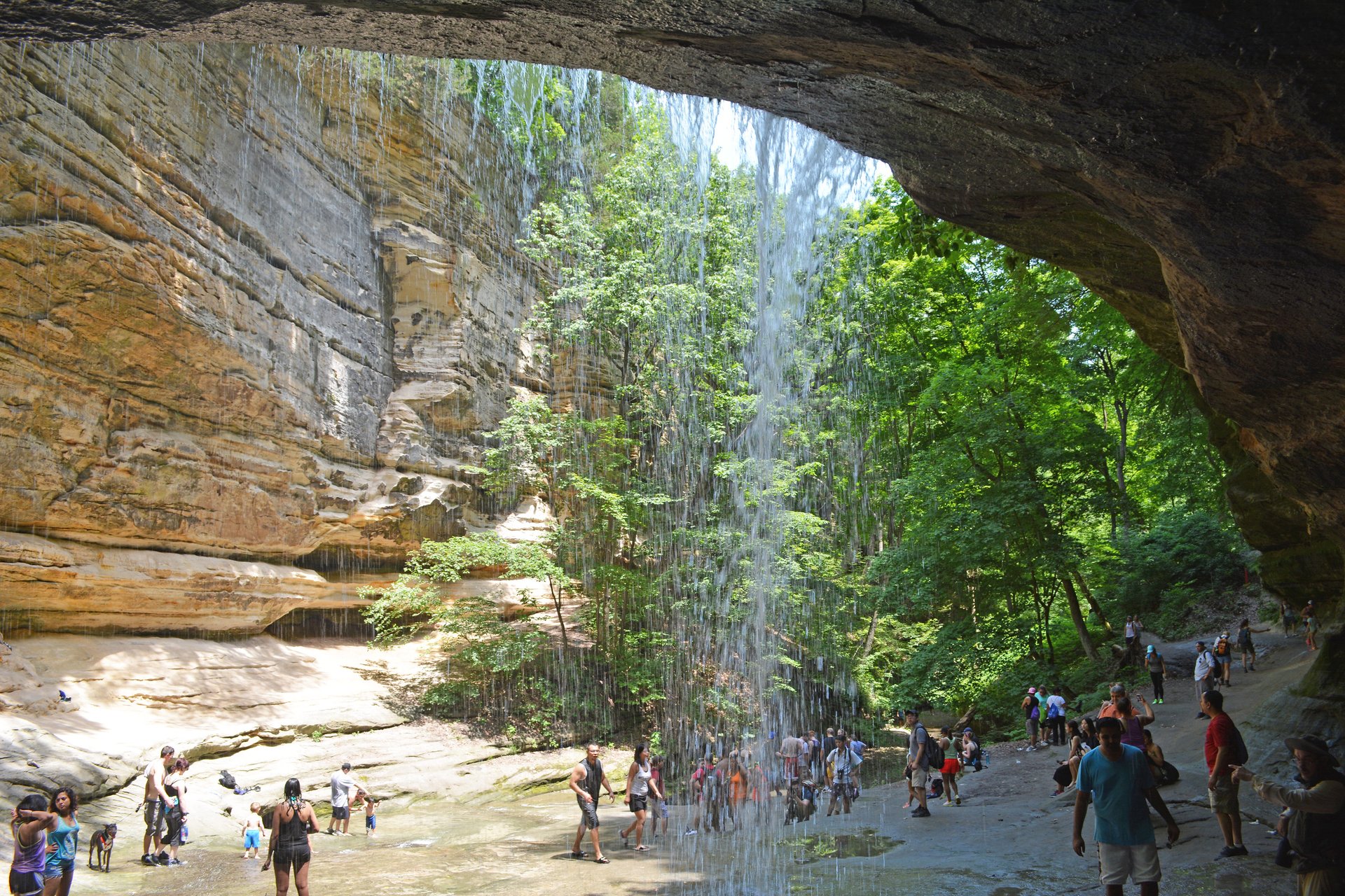 Best Time to See Starved Rock State Park in Illinois 2024 - Rove.me