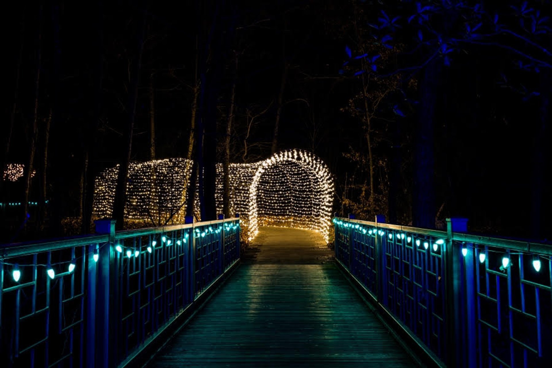 Powell Gardens Festival of Lights