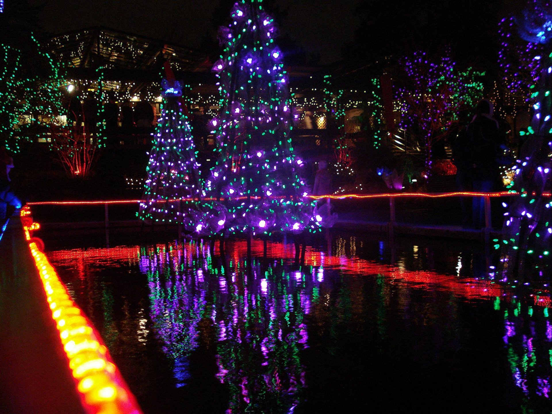 vandusen festival of lights coupon code 2018