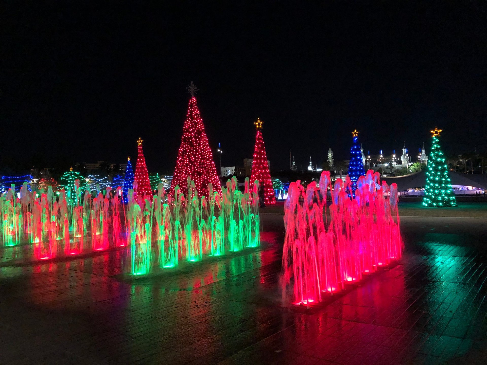 Weihnachtsbeleuchtung in Tampa