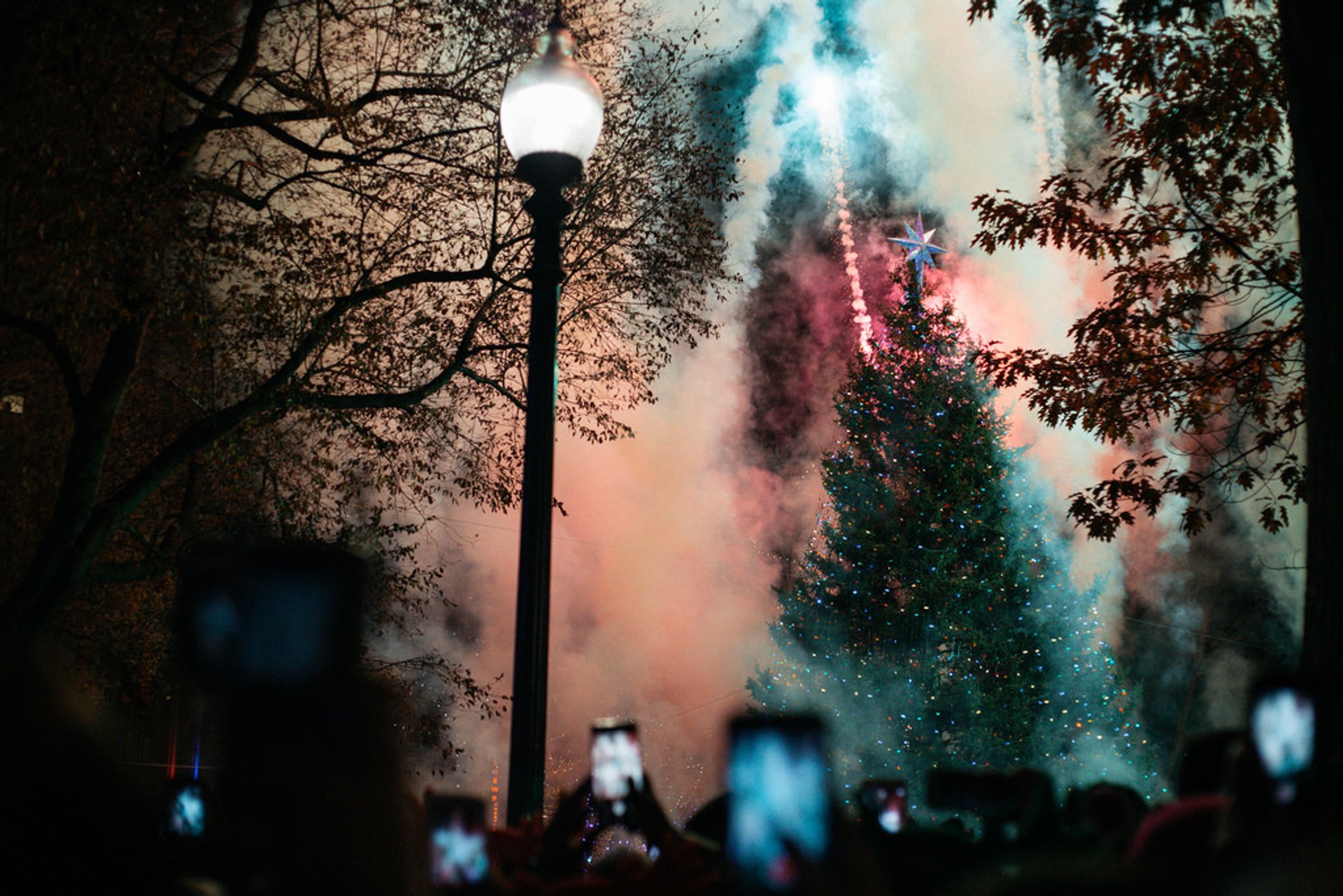 Iluminación del árbol de Navidad