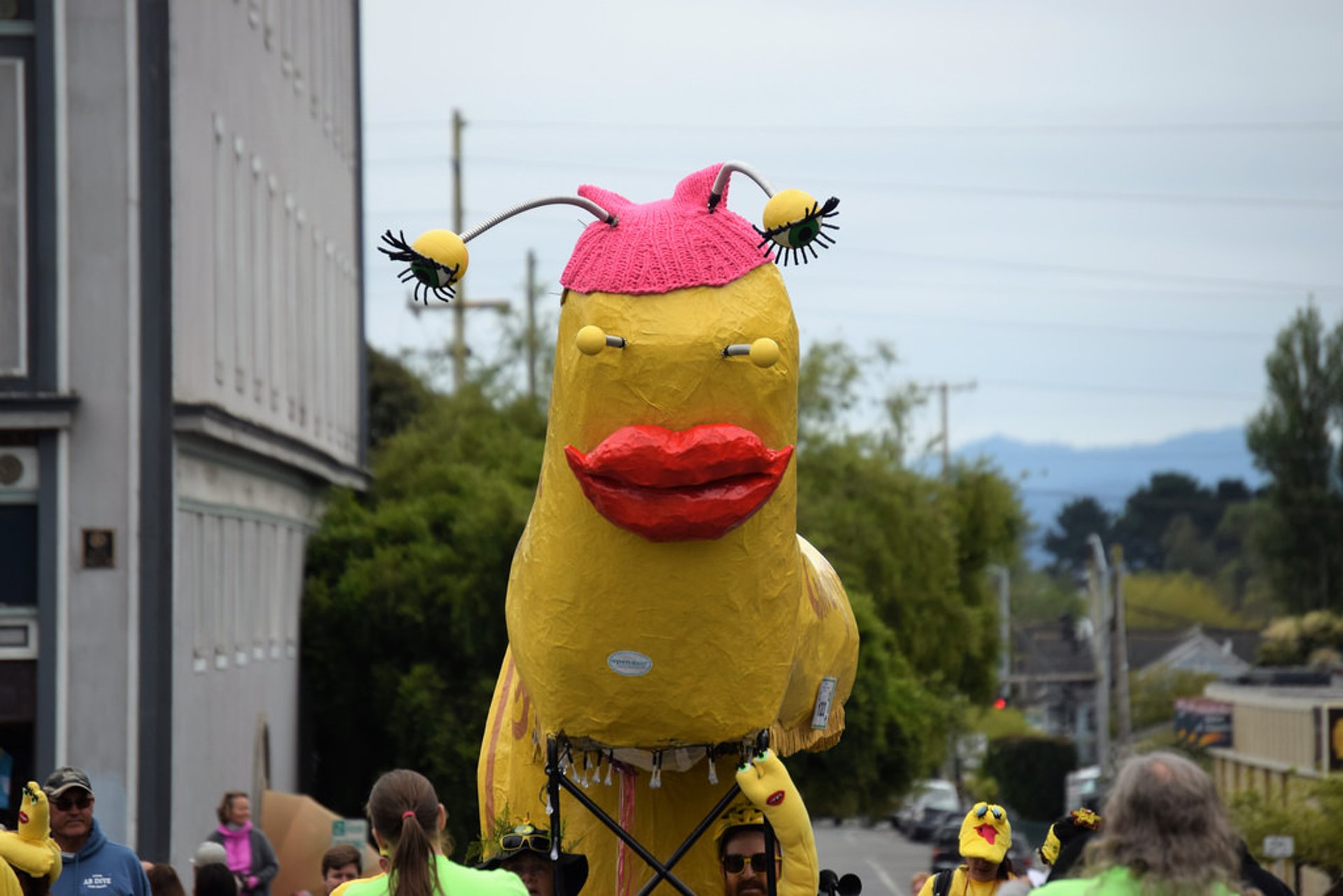 Kinetic Grand Championship