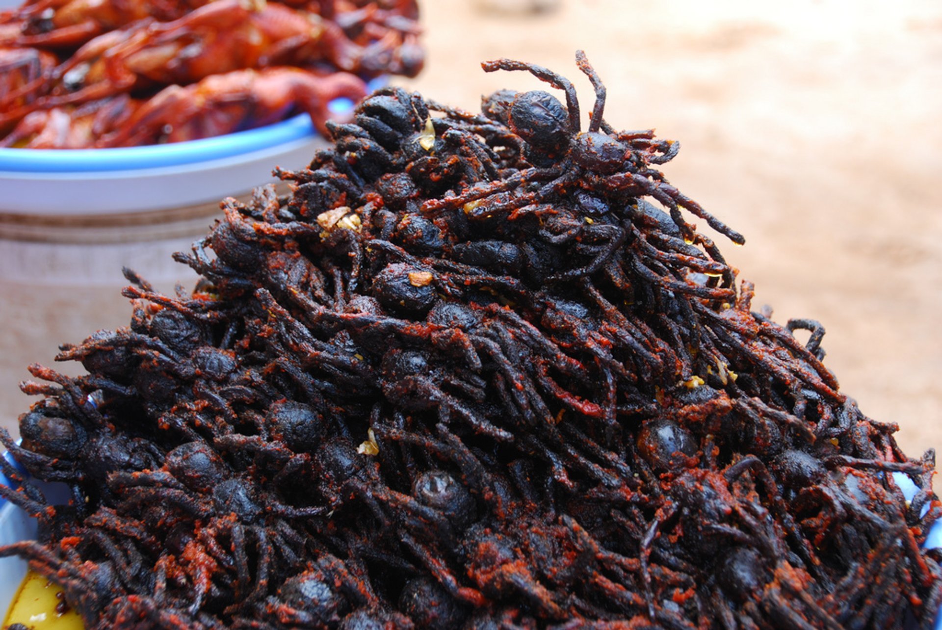 Araignées frites