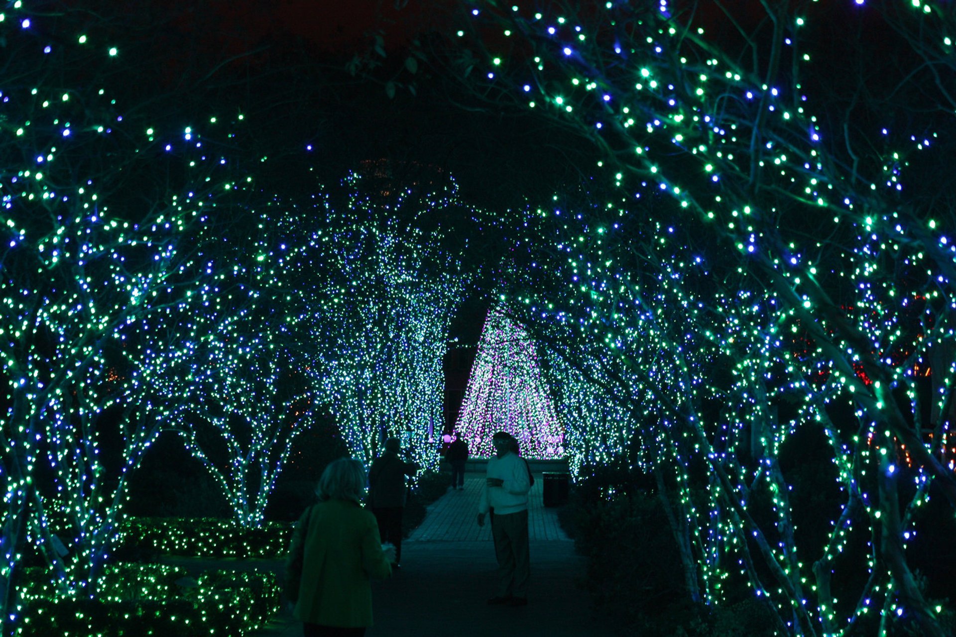 Christmas Lights In Georgia