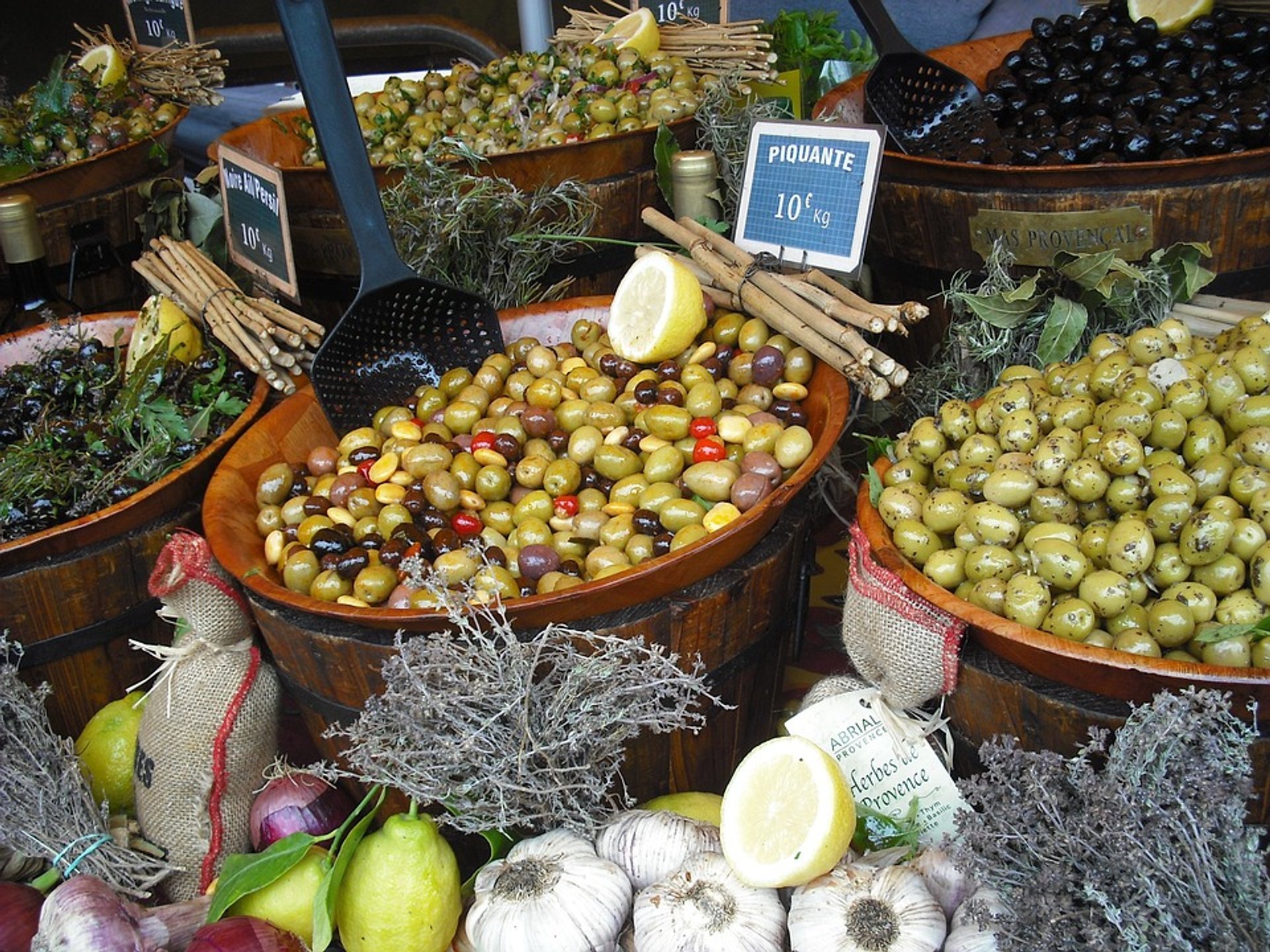 Olive Picking