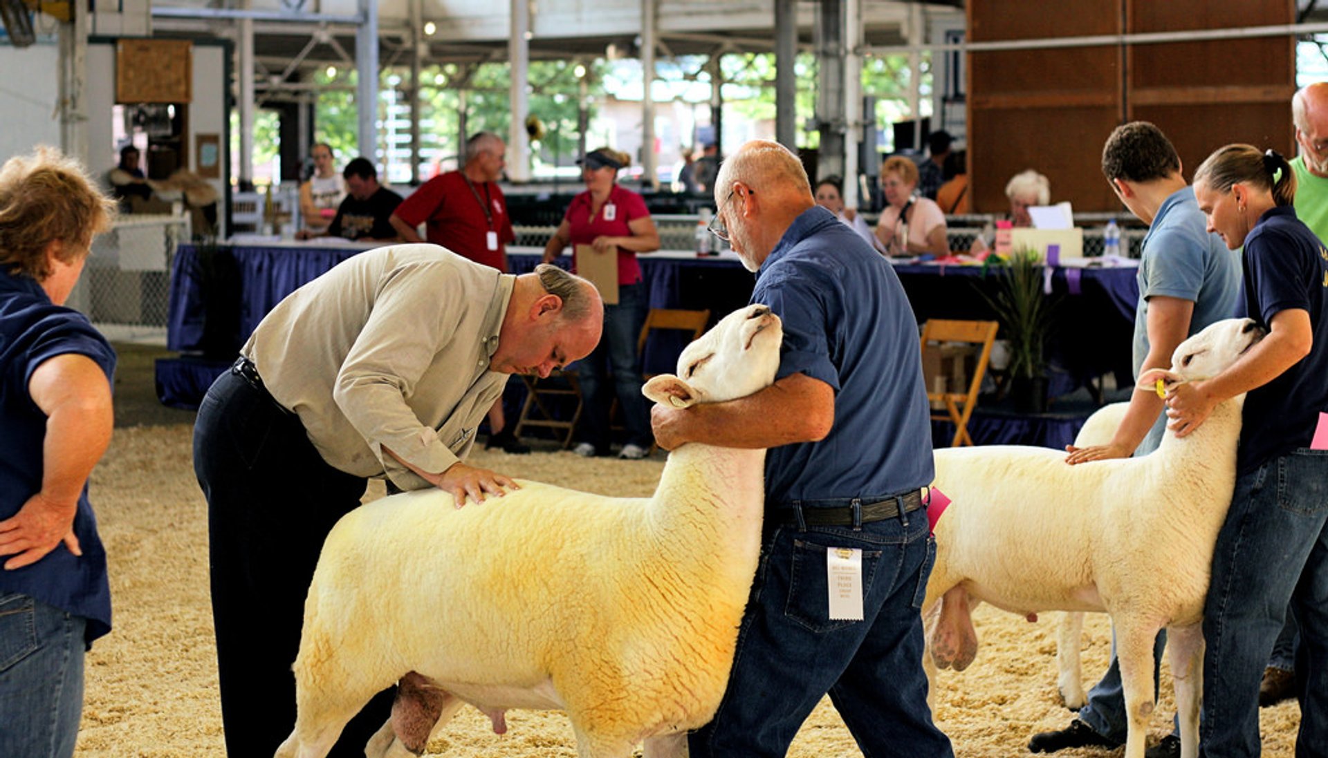 Foire de l'État de l'Iowa