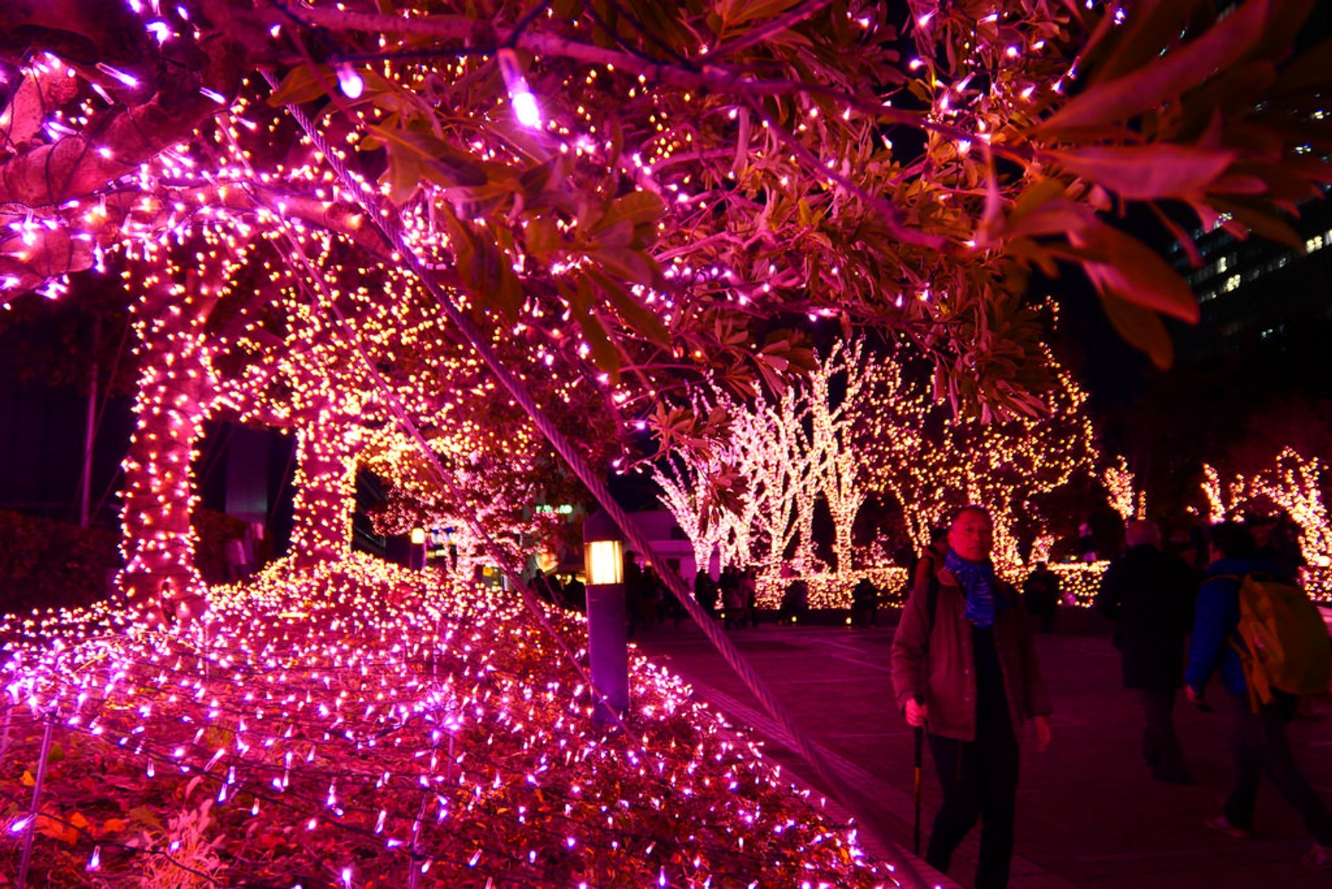 Winter Illumination 20232024 in Tokyo Dates