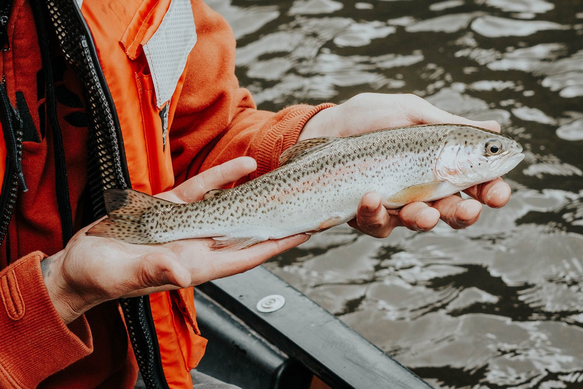 Best time for Fishing in Utah 2020 - Best Season & Map ...