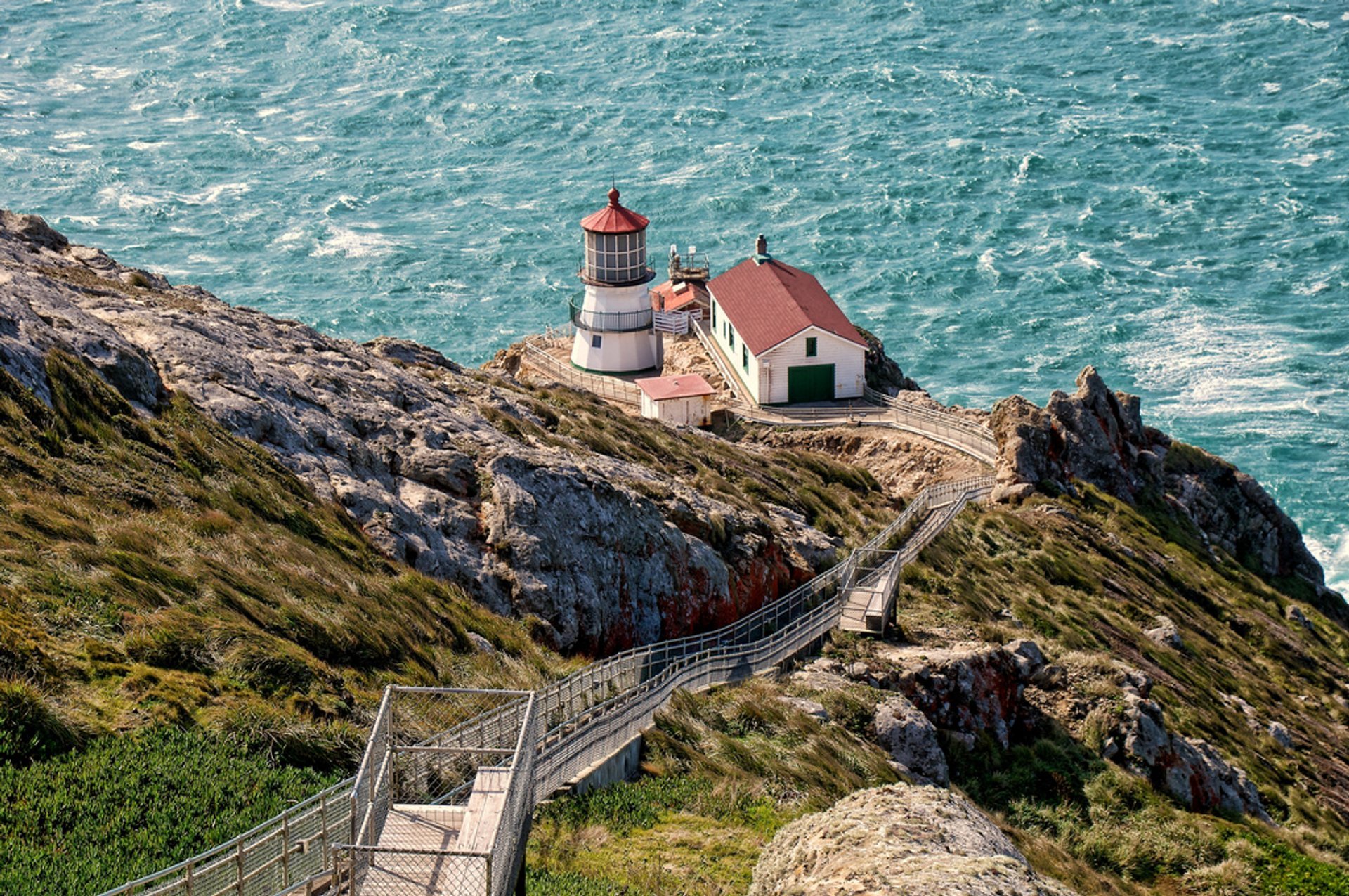 Observação de baleias en Point Reyes