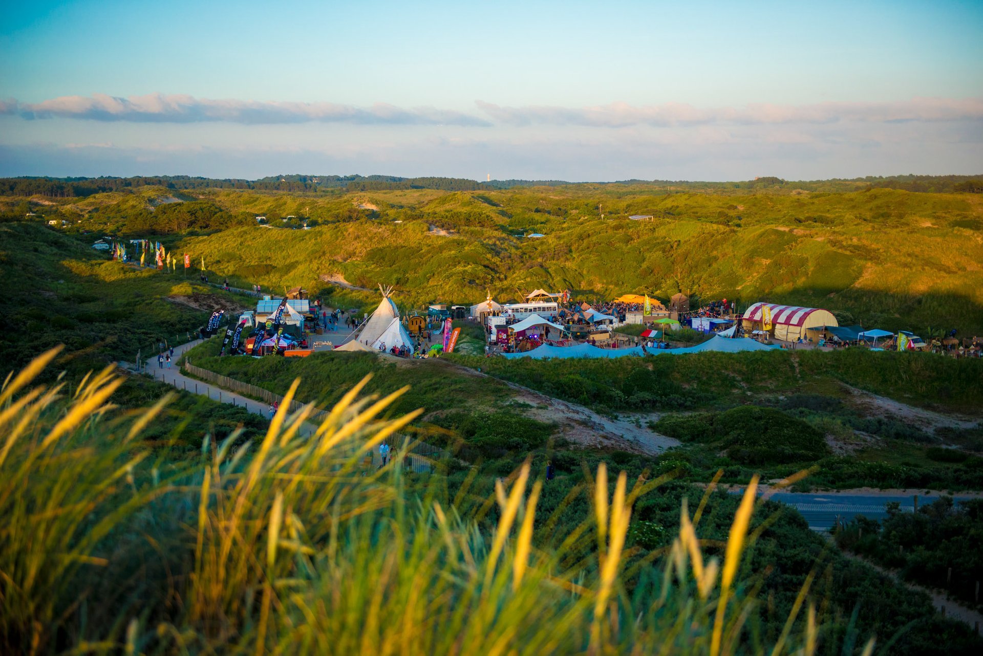 Festival de Surfana