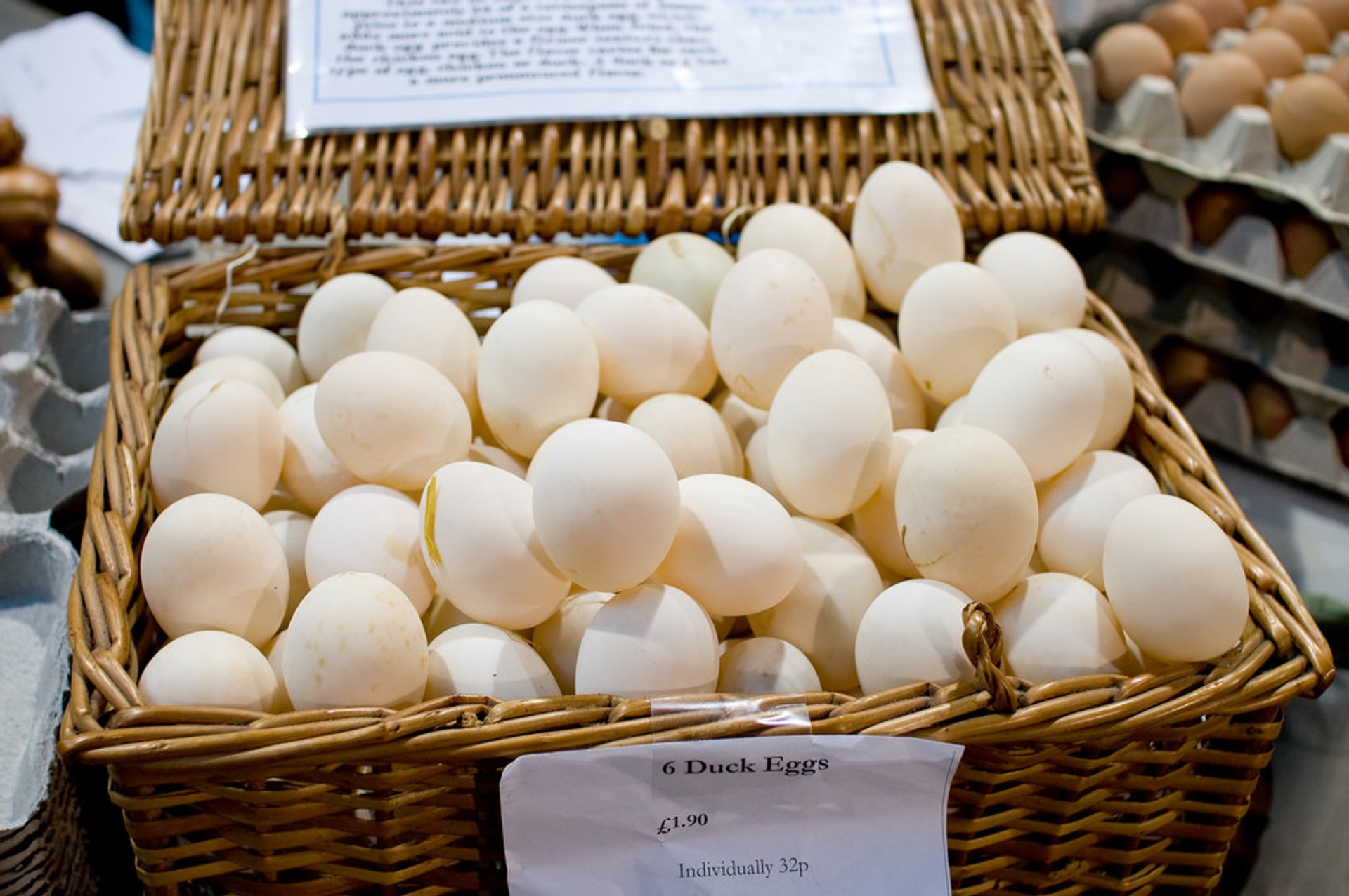 Ovos de pato e de ganso