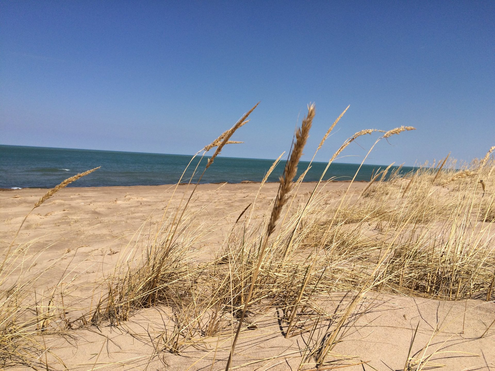 Parque Nacional das Dunas de Indiana