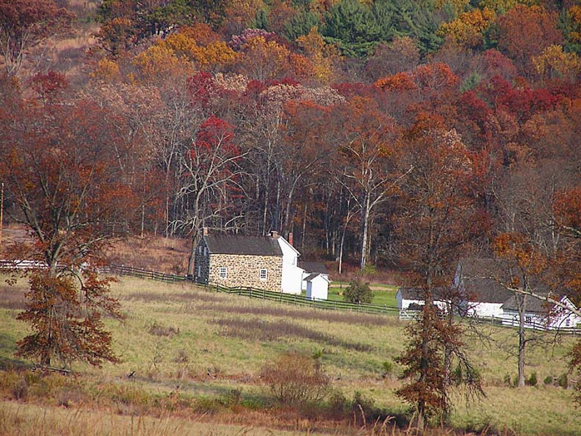 Fogliame autunnale di Pennsylvania