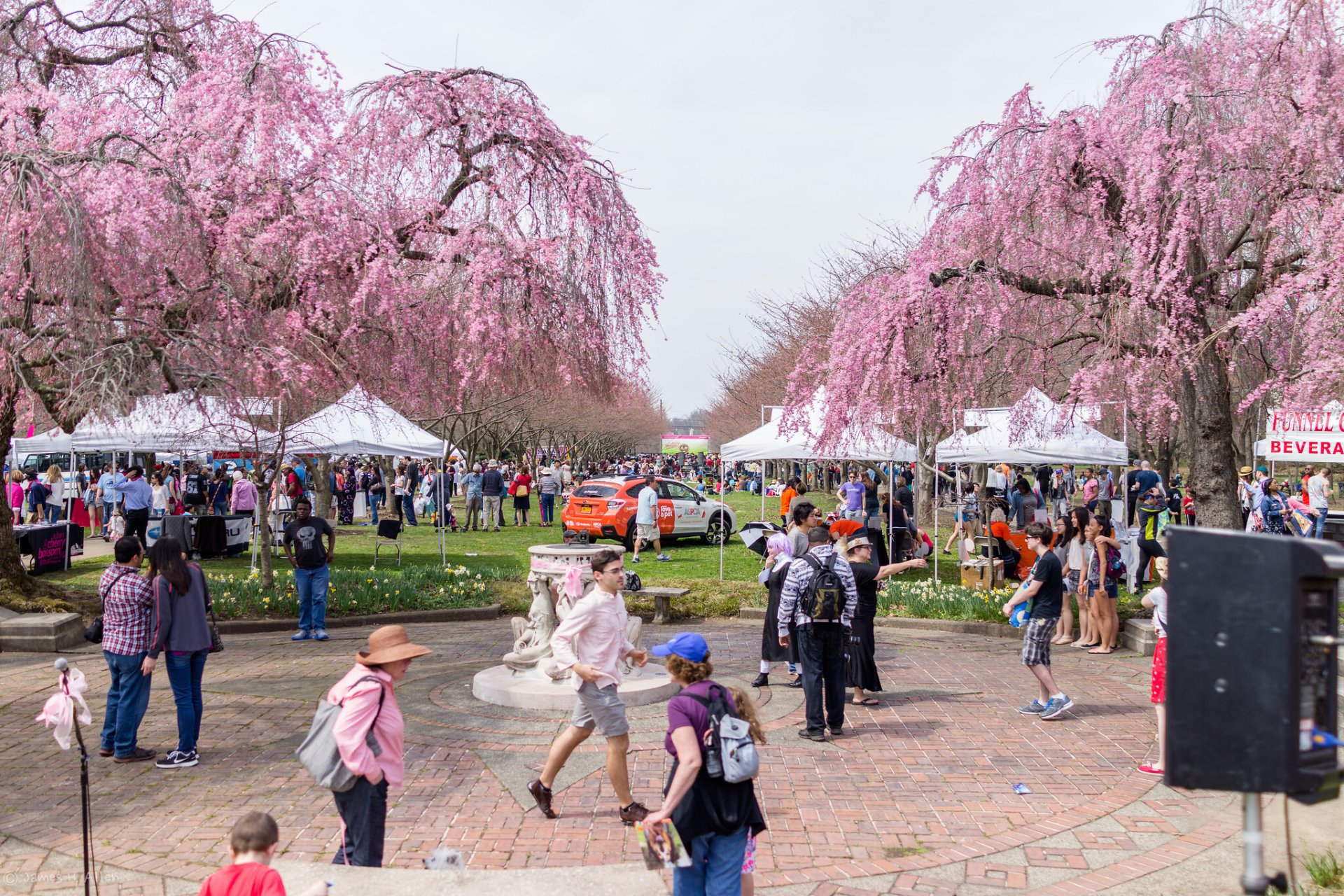 Shofuso Cherry Blossom Festival of Philadelphia 2022 in Philadelphia