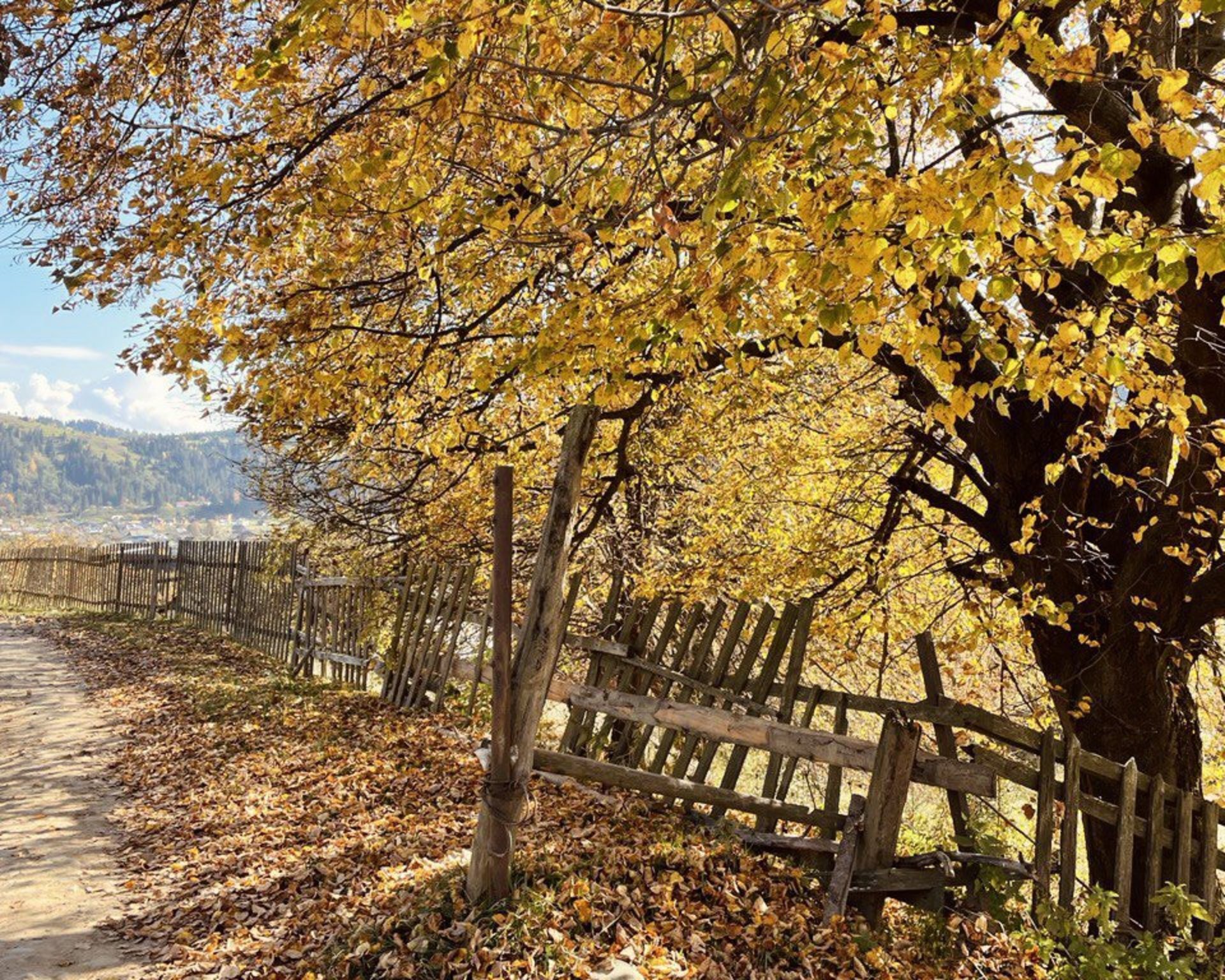 Fall Belaubung im Karpatengebirge