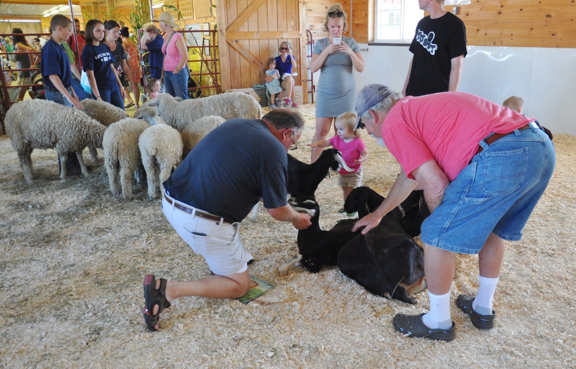 Goshen Fair 2024 in Connecticut Rove.me