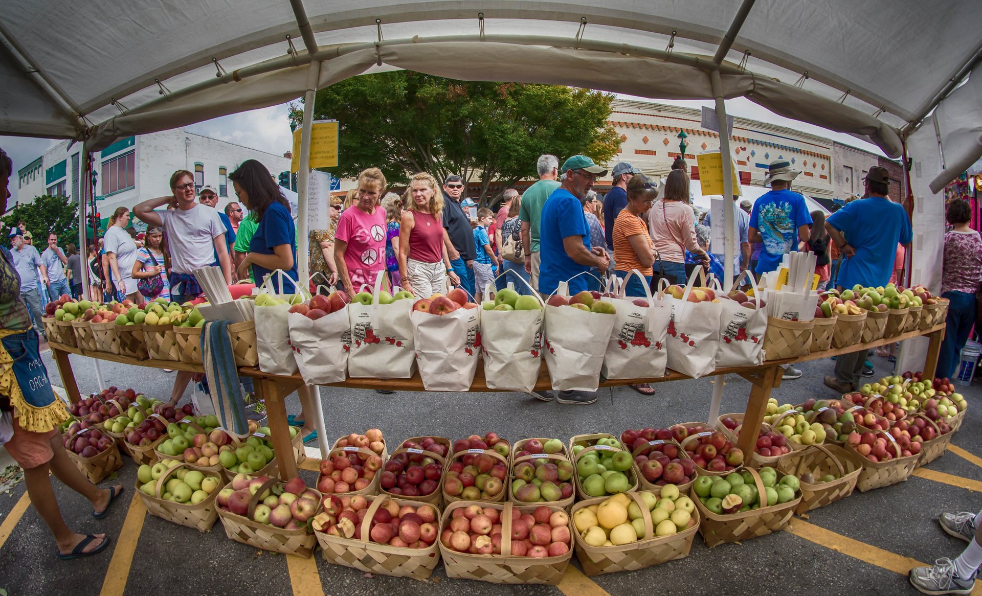 North Carolina Apple Festival 2024 Joice Madelle