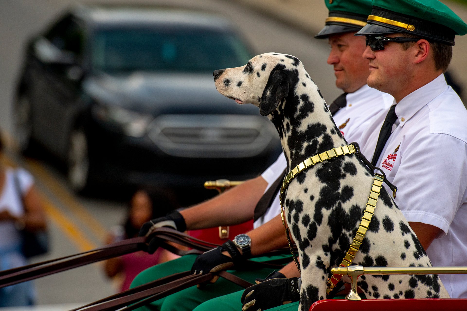 Kentucky Derby Festival Marathon 2023 Dates