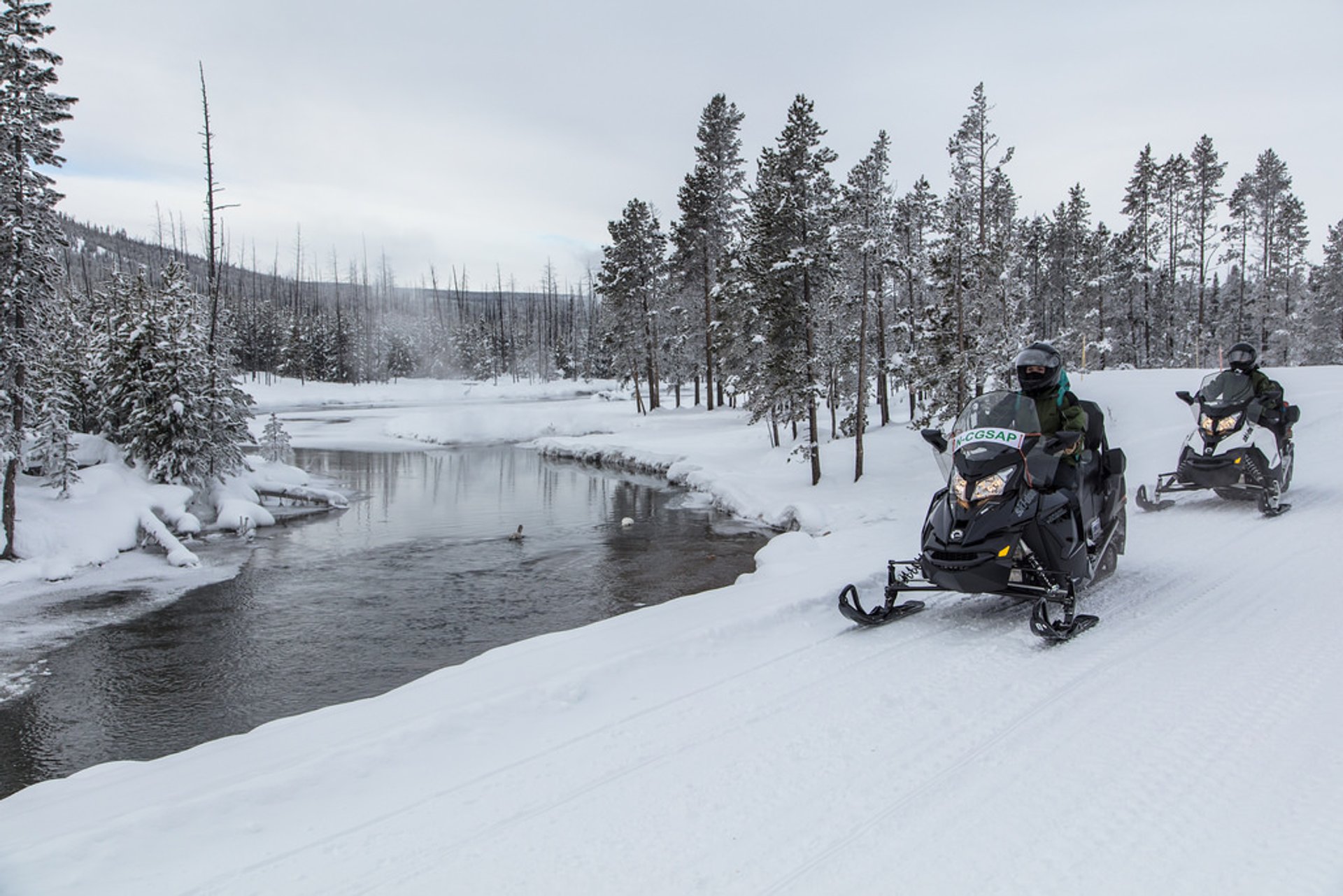 Best time for Snowmobiling in Yellowstone National Park 2024