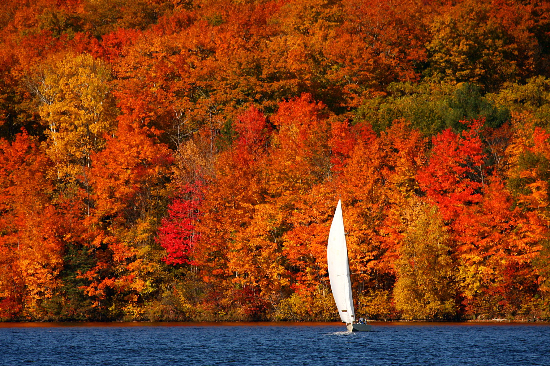 Best Time To See Fall Colors In New Brunswick 2022 Rove me