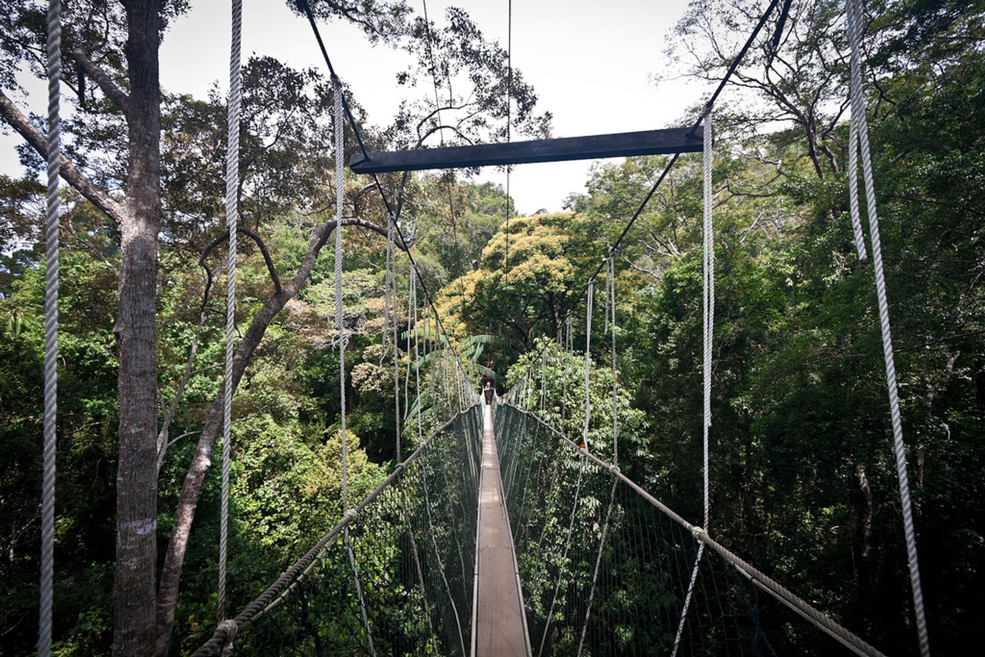 Canopy Walks en Malasia peninsular