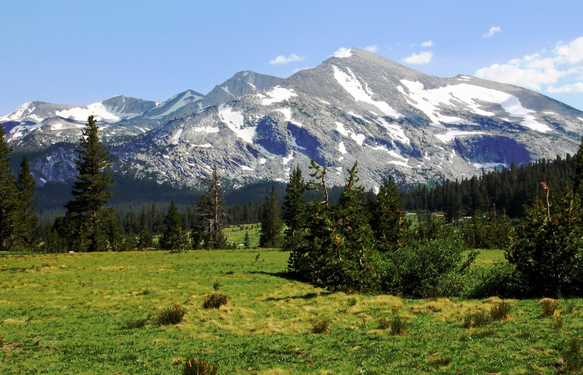 Prati di Tuolumne