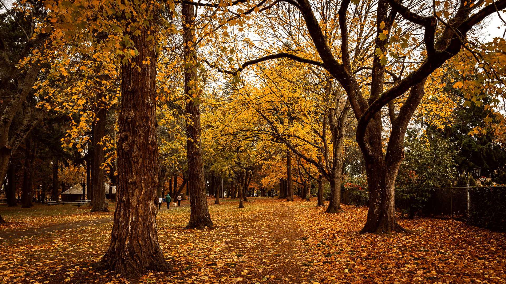 Portland Herbstlaub