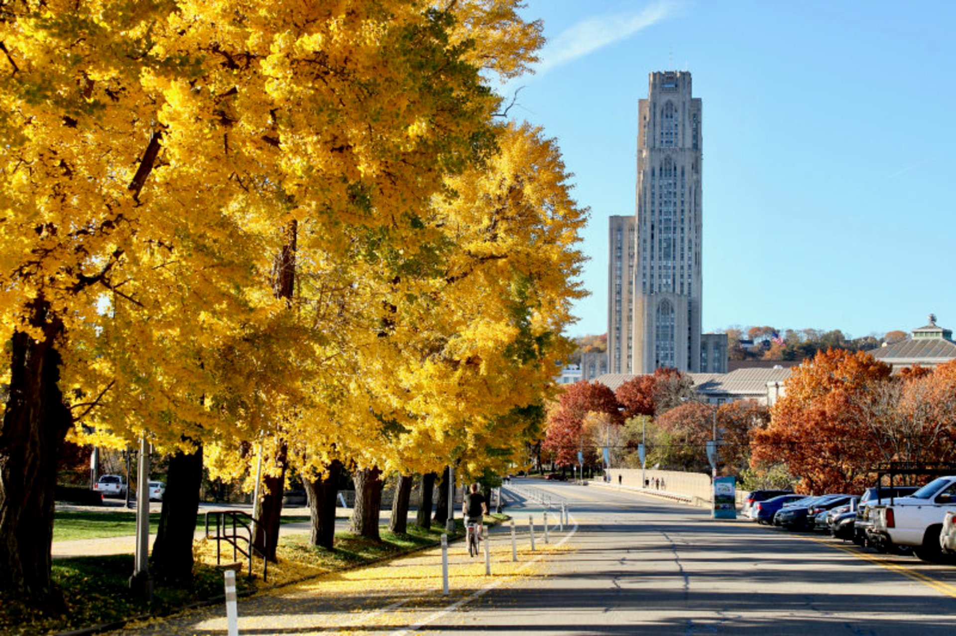 Colori autunnali a Pittsburgh