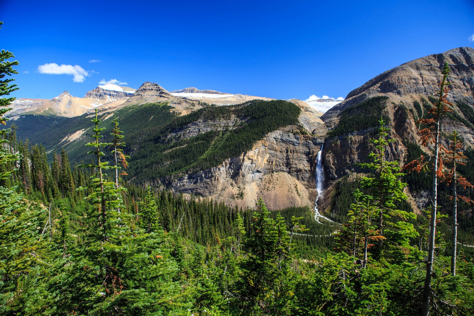 Takakkaw Falls & Twin Falls