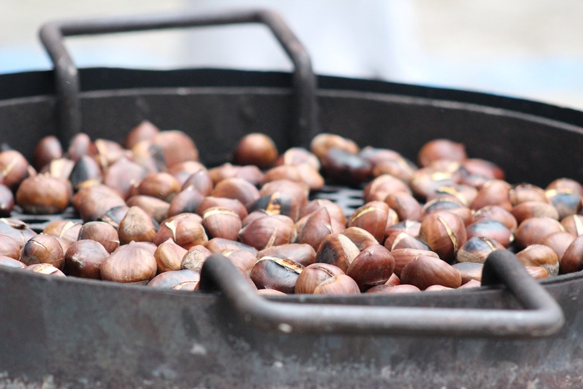 Elos Chestnut Harvest and Festival