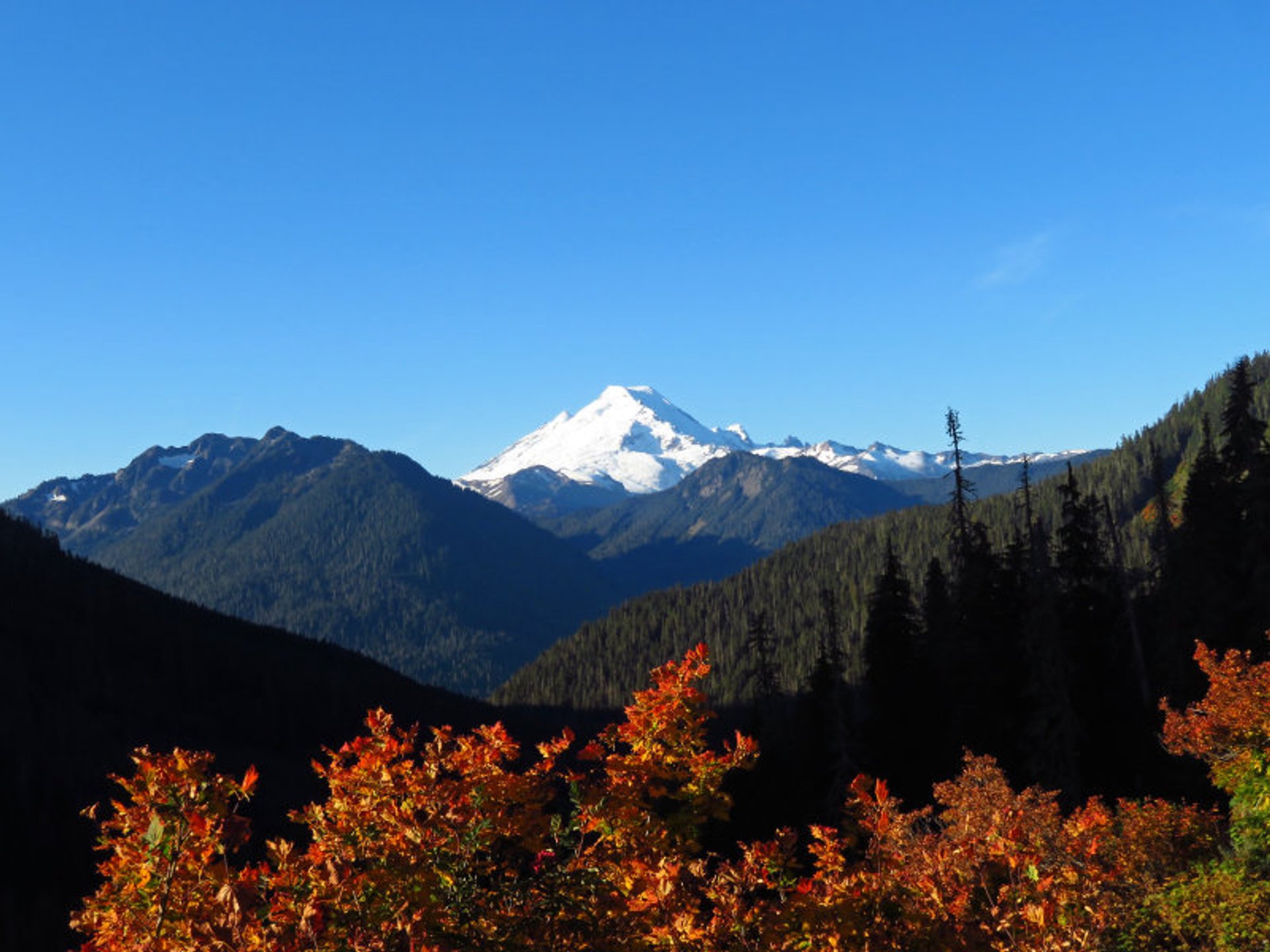 Washington Fall Colors