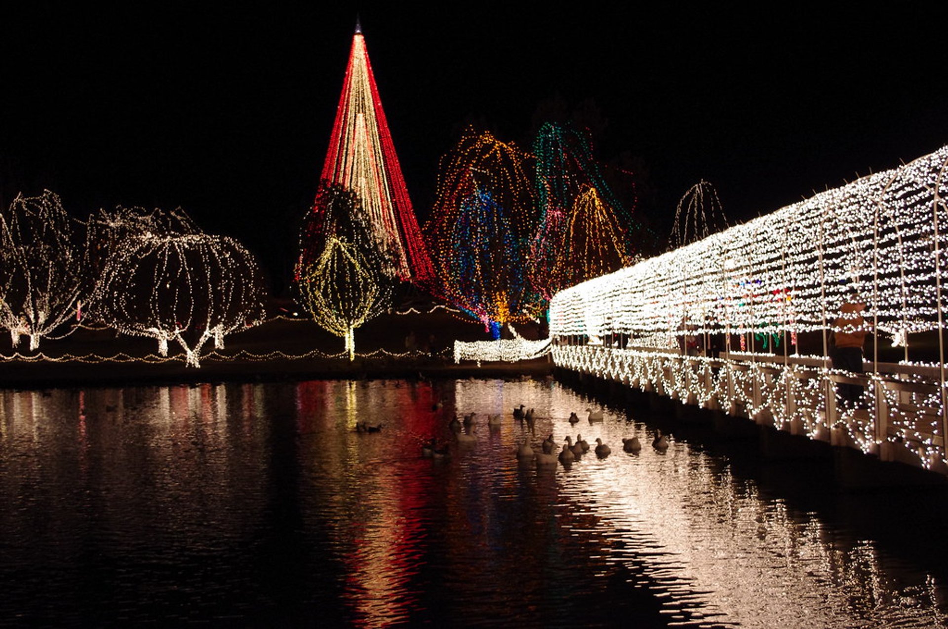 Lumières de Noël