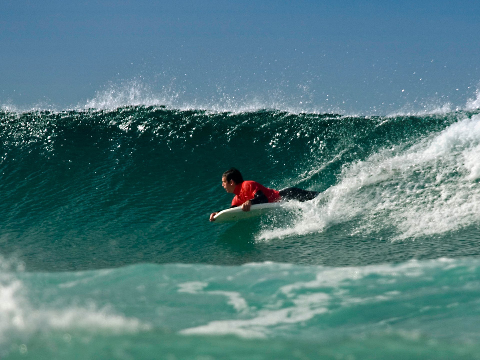 Surfen oder Wellenreiten