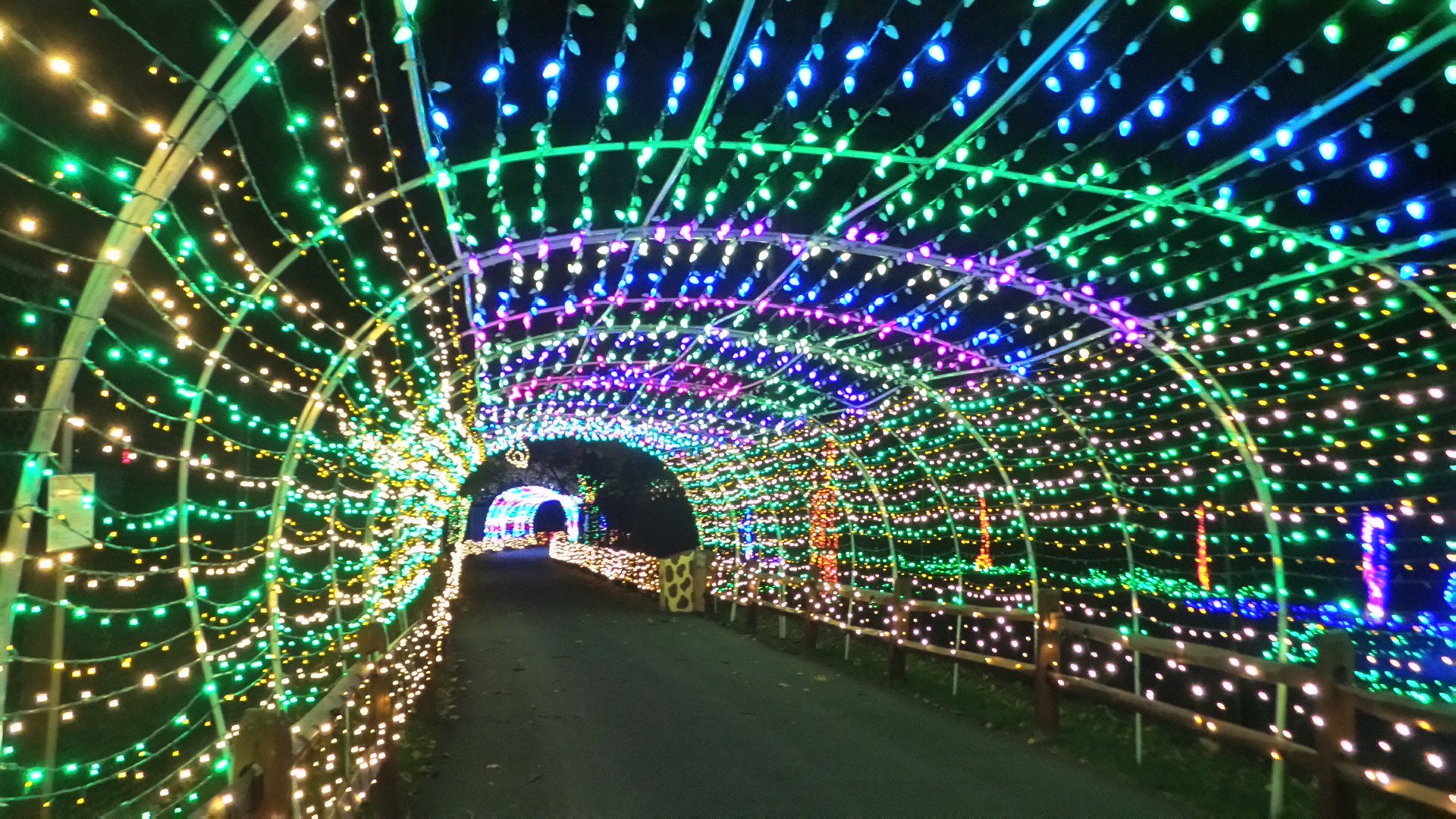 Luzes de Natal em Pensilvânia