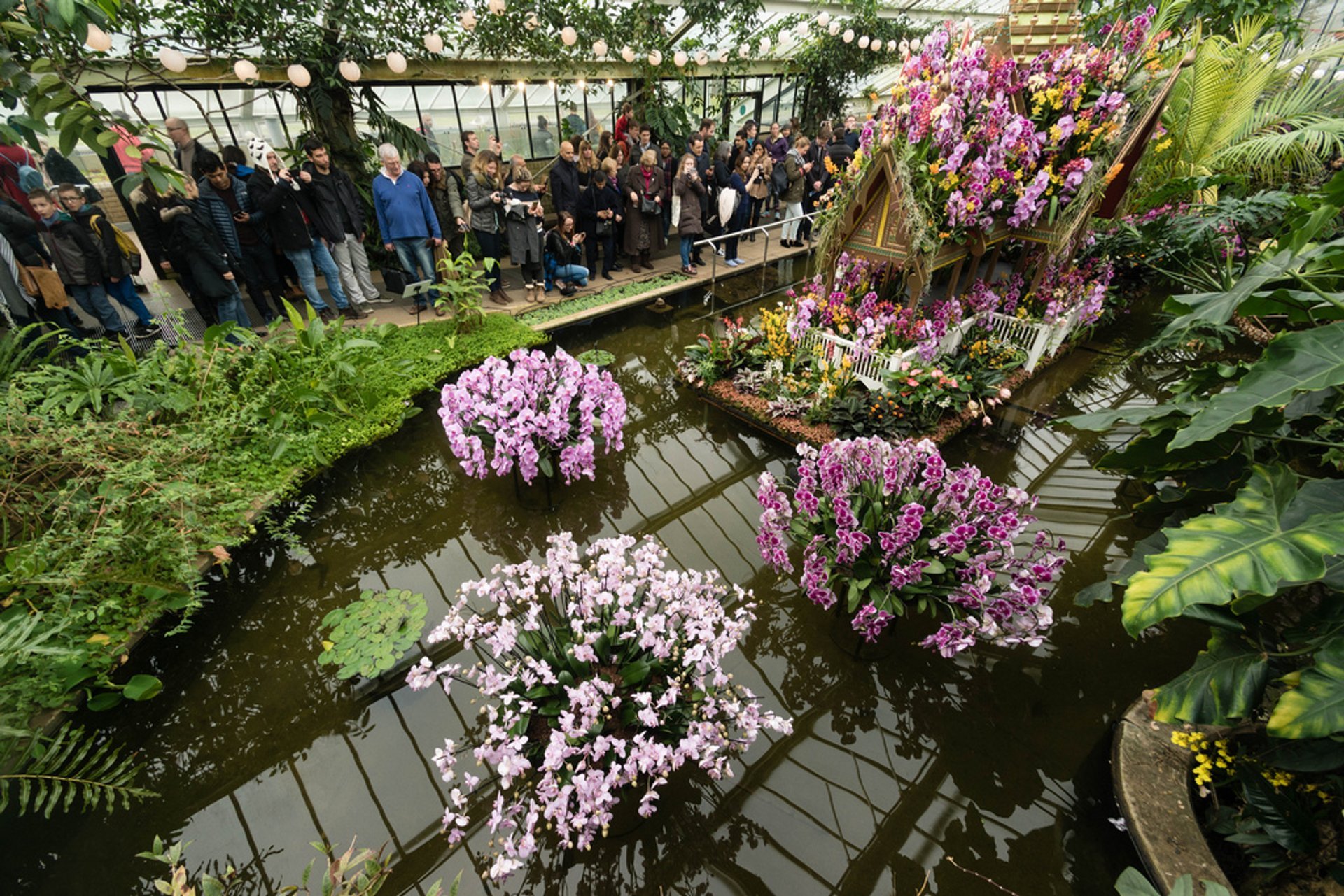 Festival de Orquídeas em Kew Gardens