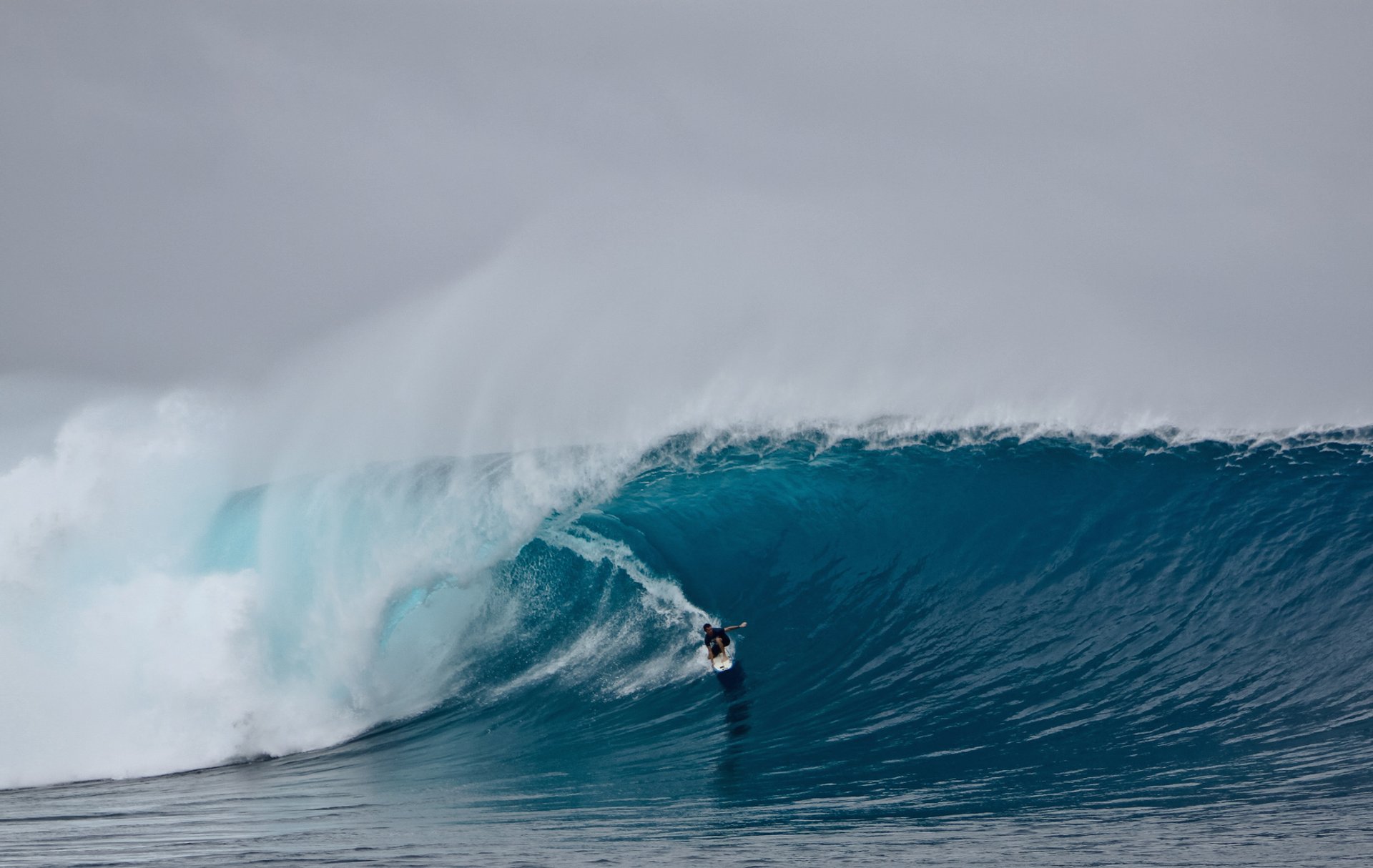 Surfen oder Wellenreiten