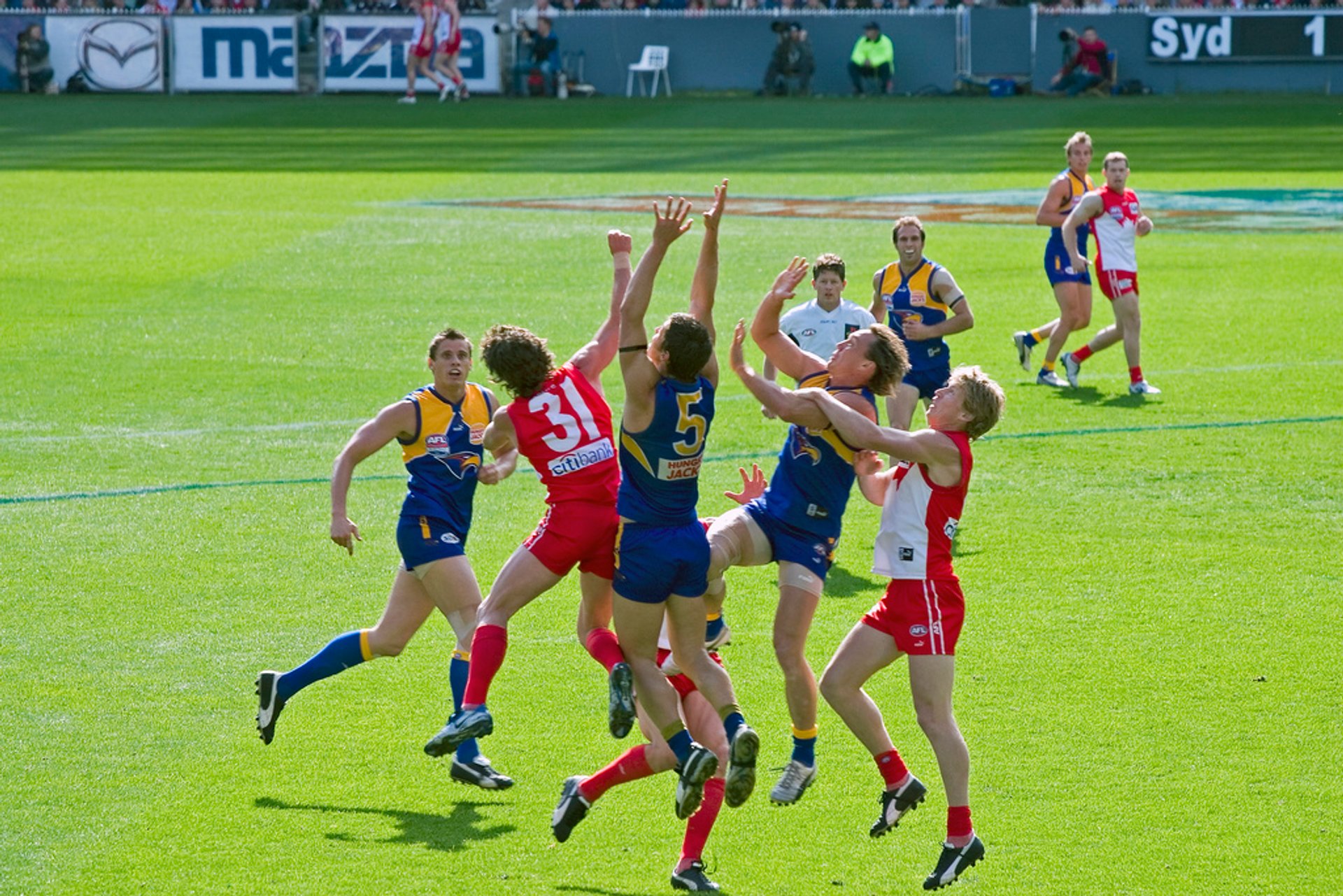 Afl Women's Grand Final 2024 - Jaime Lillian