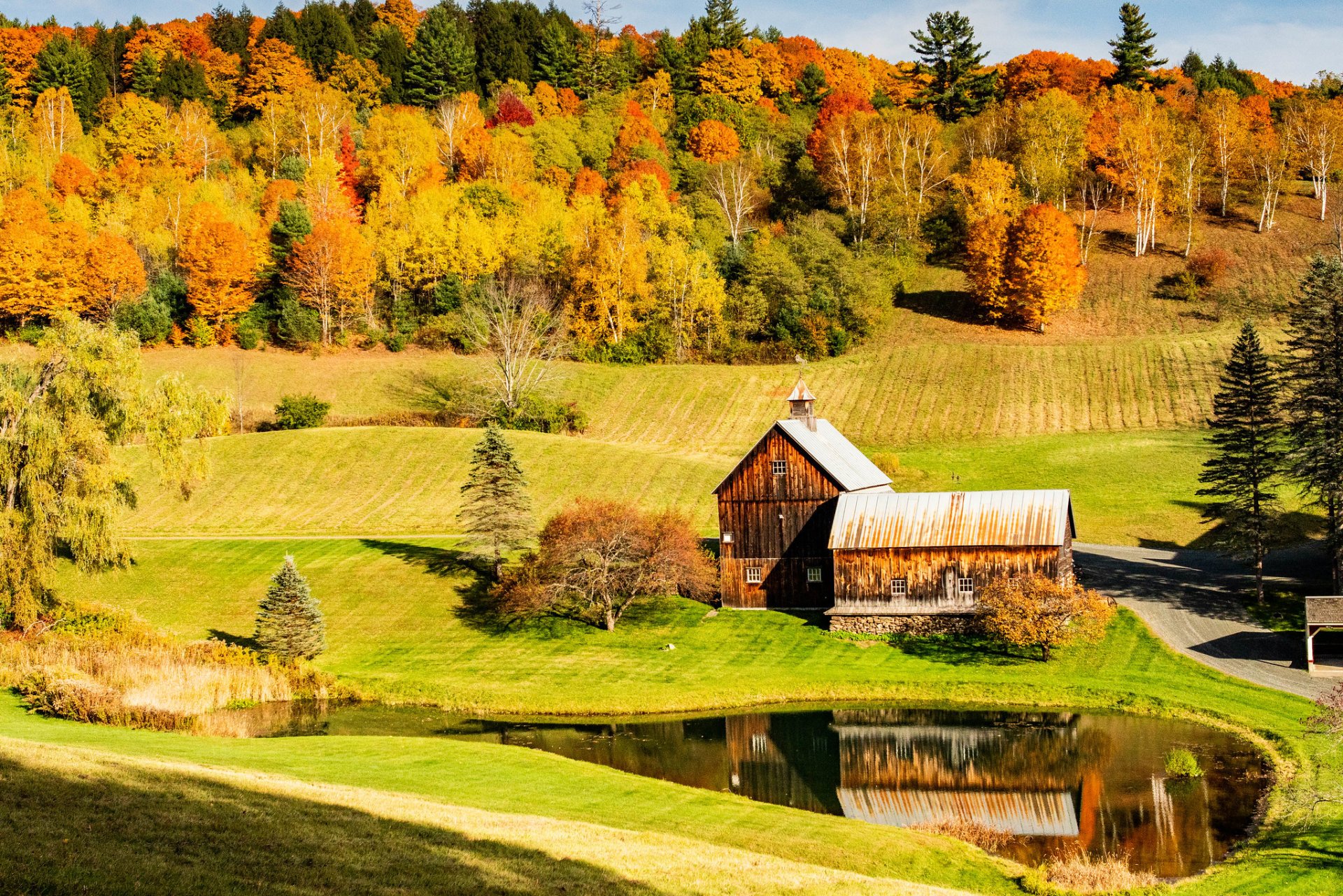 Foglie d'autunno del Vermont