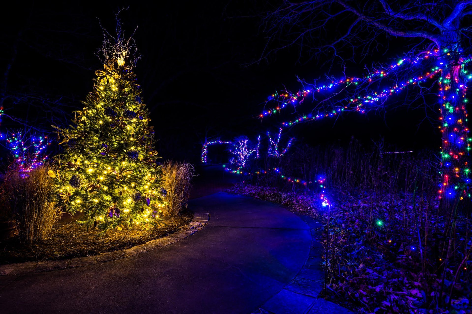 Powell Gardens Festival of Lights